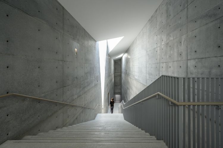 ◎直筆サイン入り　in直島　建築家　安藤忠雄 直筆スケッチサインシート付】安藤忠雄の建築 4 挑戦 : 銀座 蔦