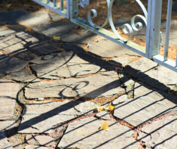 100年先を見据えた価値の創造