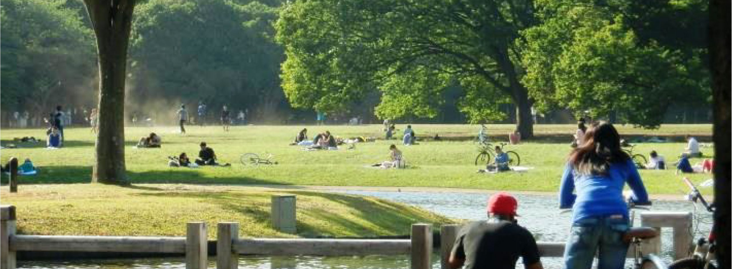 広大な自然と広い空のある街「代々木」