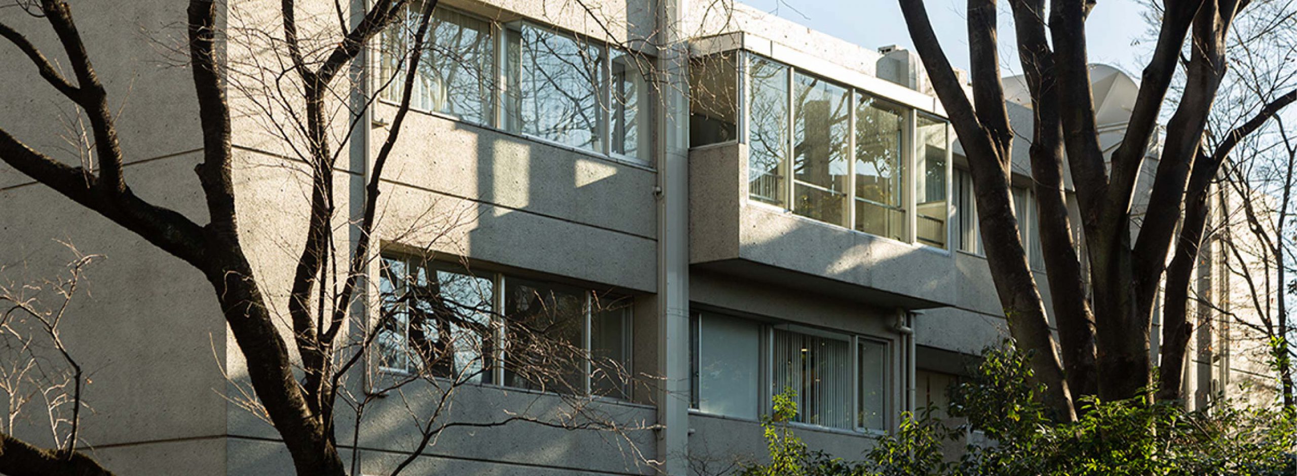 街をつくり、人を育てた<br>代官山ヒルサイドテラスの50年