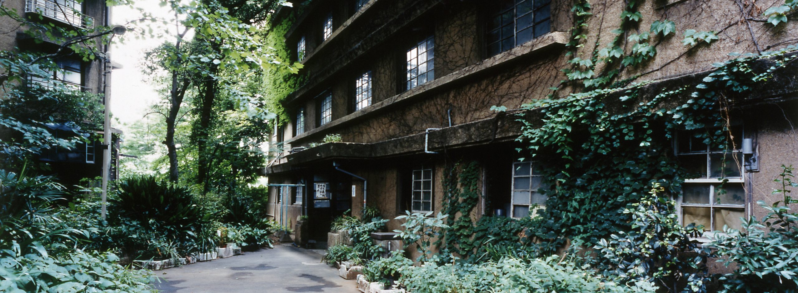 パン工場の香りと同潤会アパートの記憶……泉麻人が綴る「代官山」