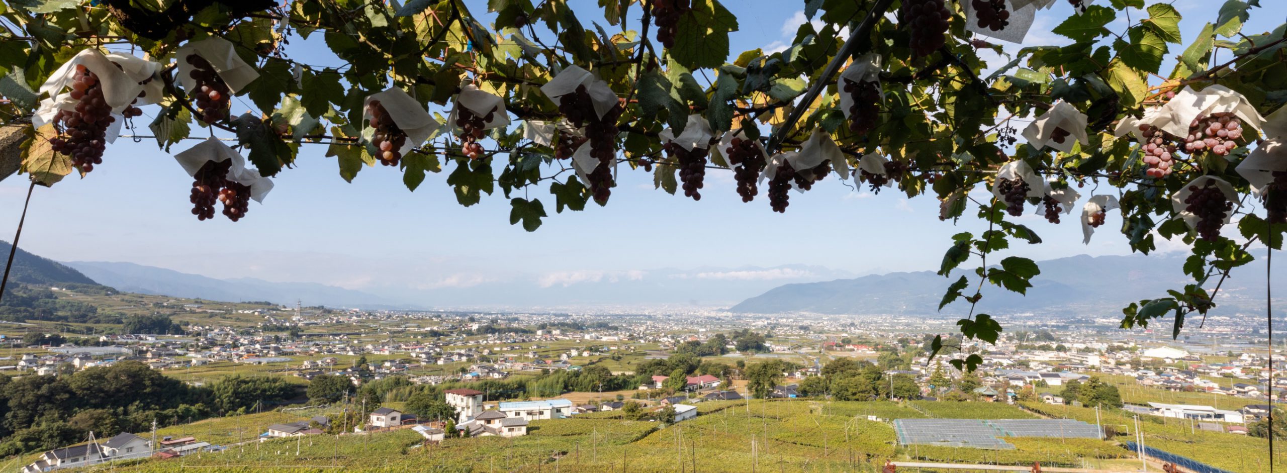 「デュアルライフ」を思い描きながら、甲州市勝沼を旅する