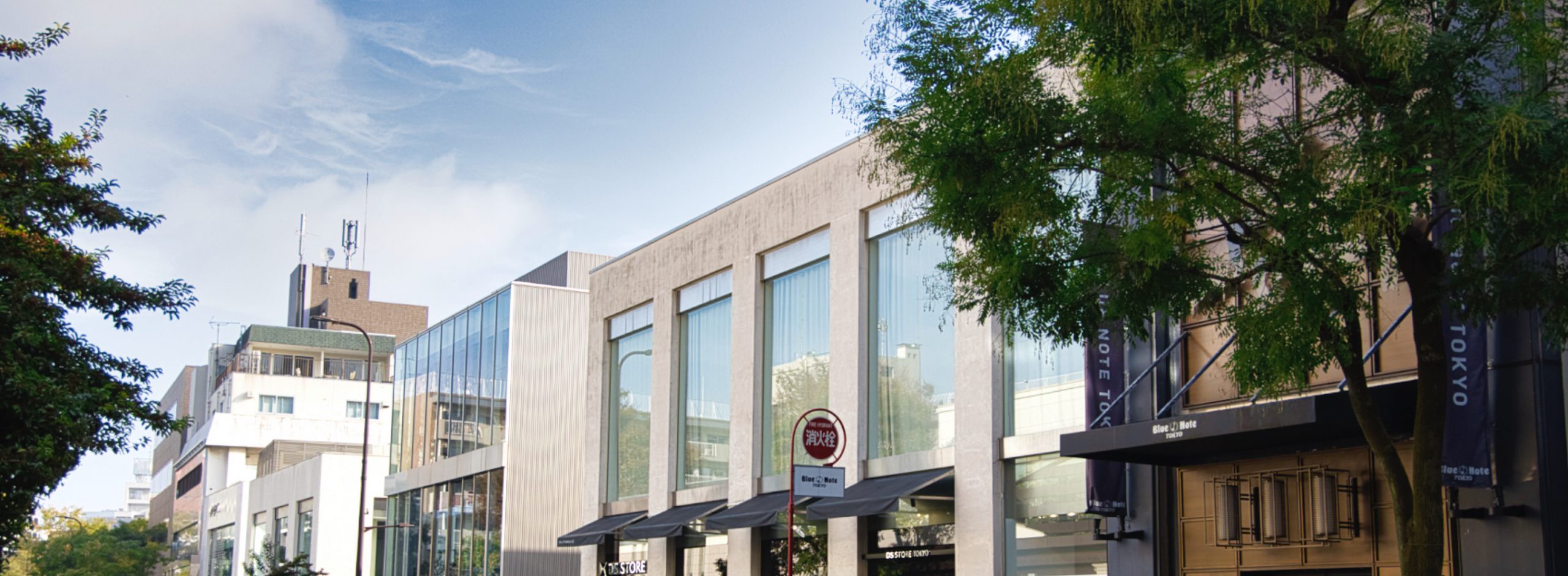 定番と最先端が同居する、五感が満たされる街「南青山」を歩く