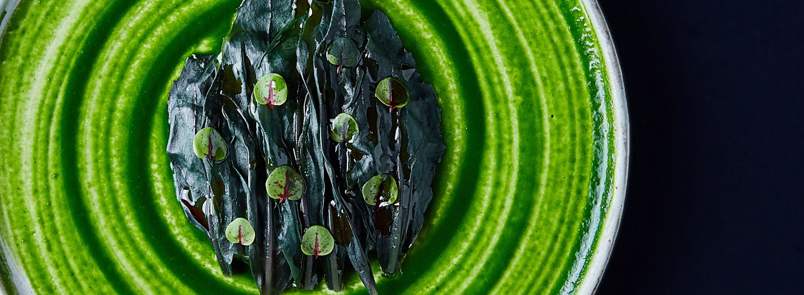 abysse・目黒シェフが考察する「島国日本ならではの循環社会」