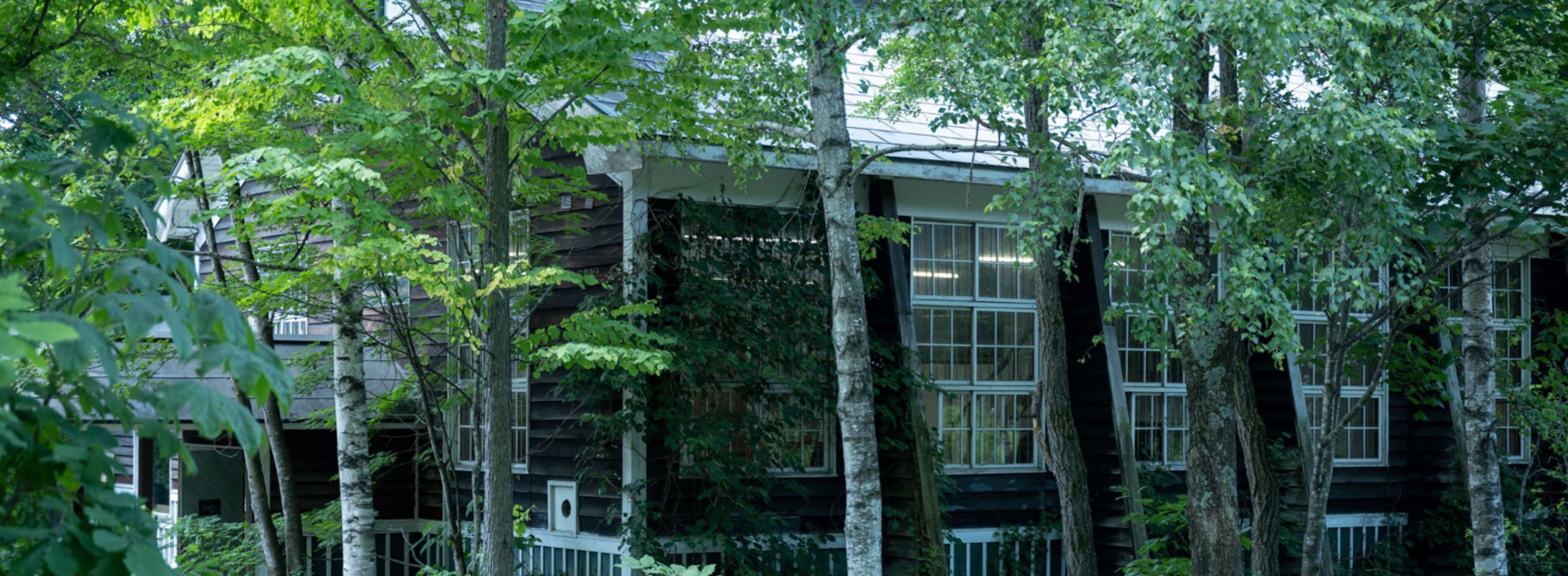 Quiddity of Life-北海道旭川・東川で体験する、“本質的な豊かな暮らし”　第3回「大雪山麓で“森と生きる”つくり手を訪ねて」