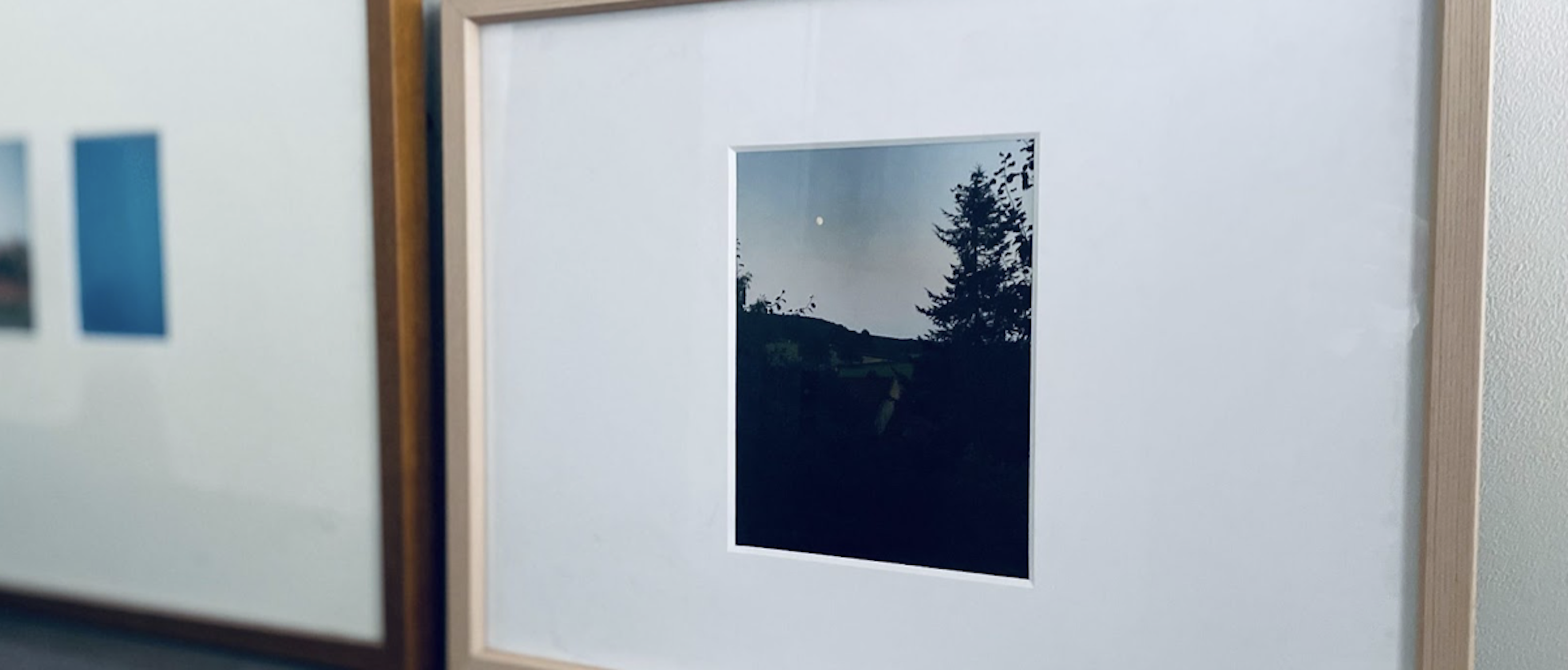 センスが滲み溢れる何気ない光景。<br>テリ・ワイフェンバックの切り取る自然。