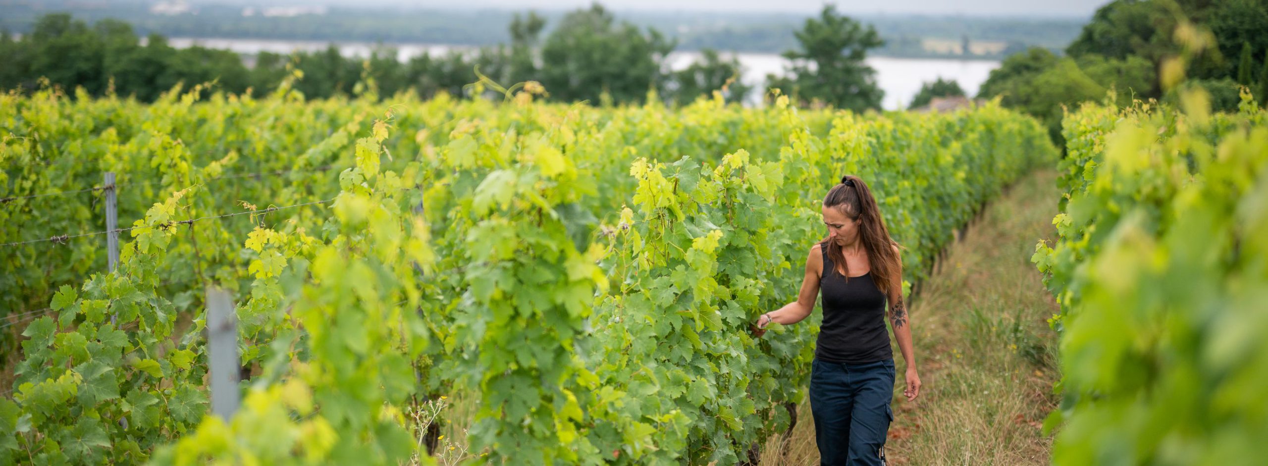 ワインの聖地が本気で目指すサステナブルな未来――フランス・ボルドーより ＜番外編＞