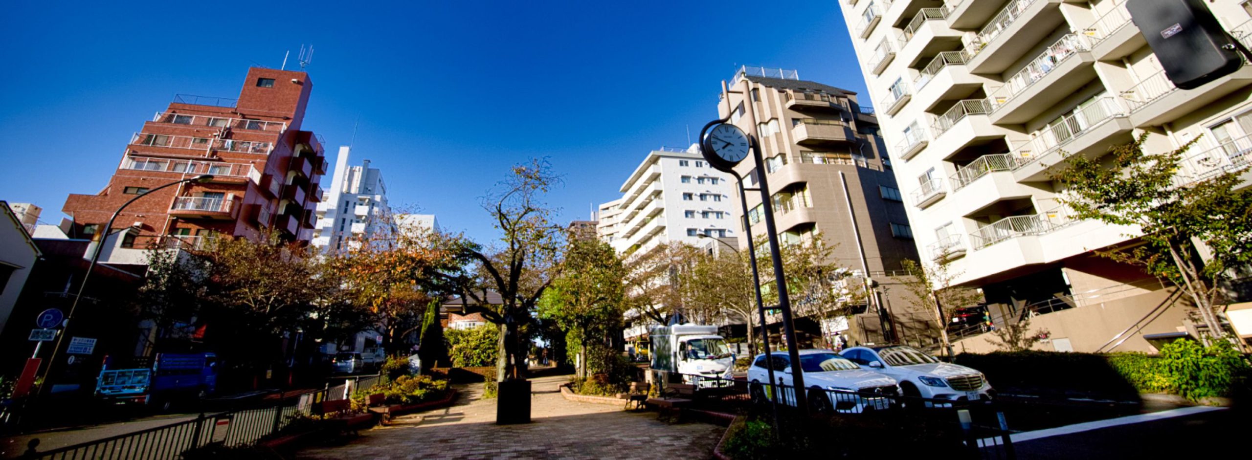 近代日本の黎明期から政財界の有力者に選ばれた、文京区の魅力を探る