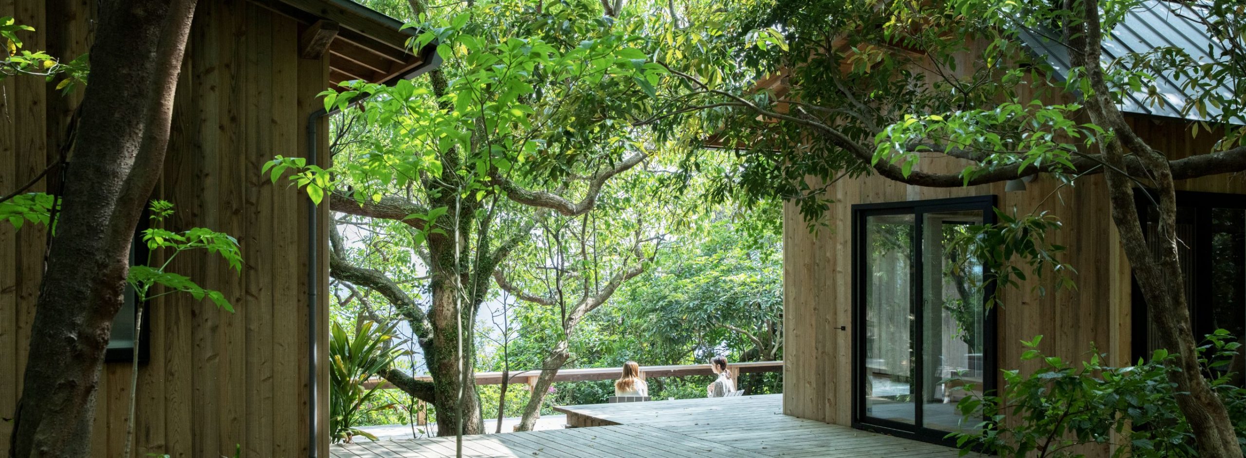 Designing for Regeneration in Yakushima<br>「環境再生をデザインする」