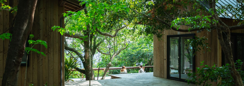 屋久島の旅　－　Sumu Yakushima