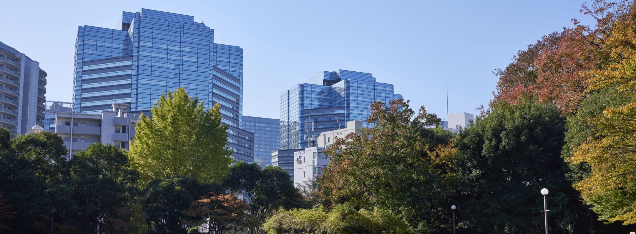 邸宅街の風格とビジネス街の活況が混在する城南五山