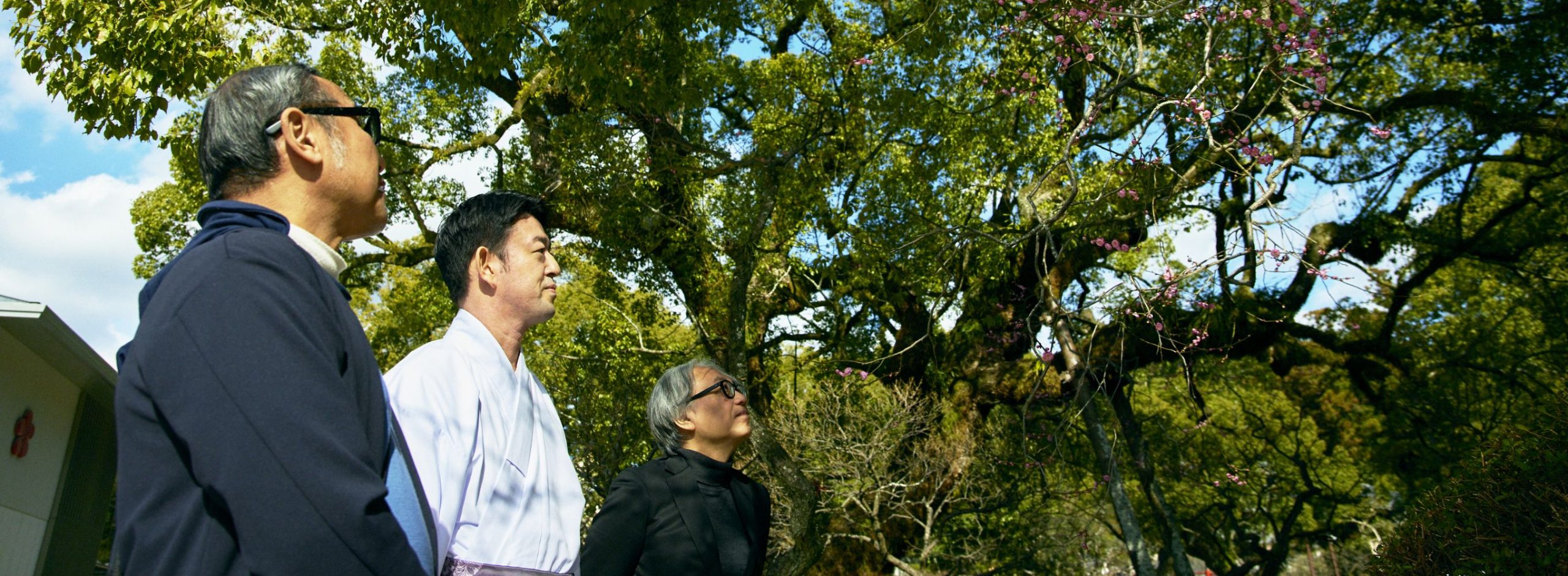 遠山正道×鈴木芳雄 連載「今日もアートの話をしよう」vol.35　太宰府天満宮 宮司 西高辻󠄀信宏