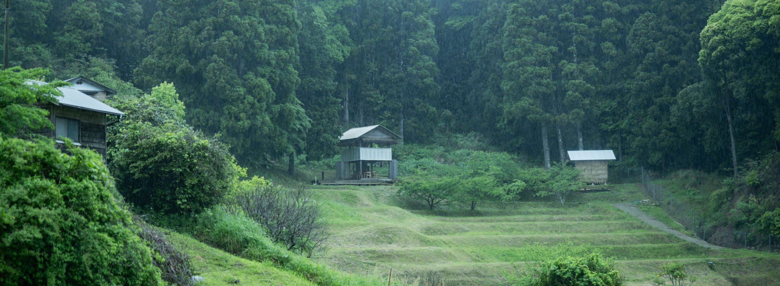 千葉・鴨川の里山再生を通して。「小さな地球」が教えてくれること
