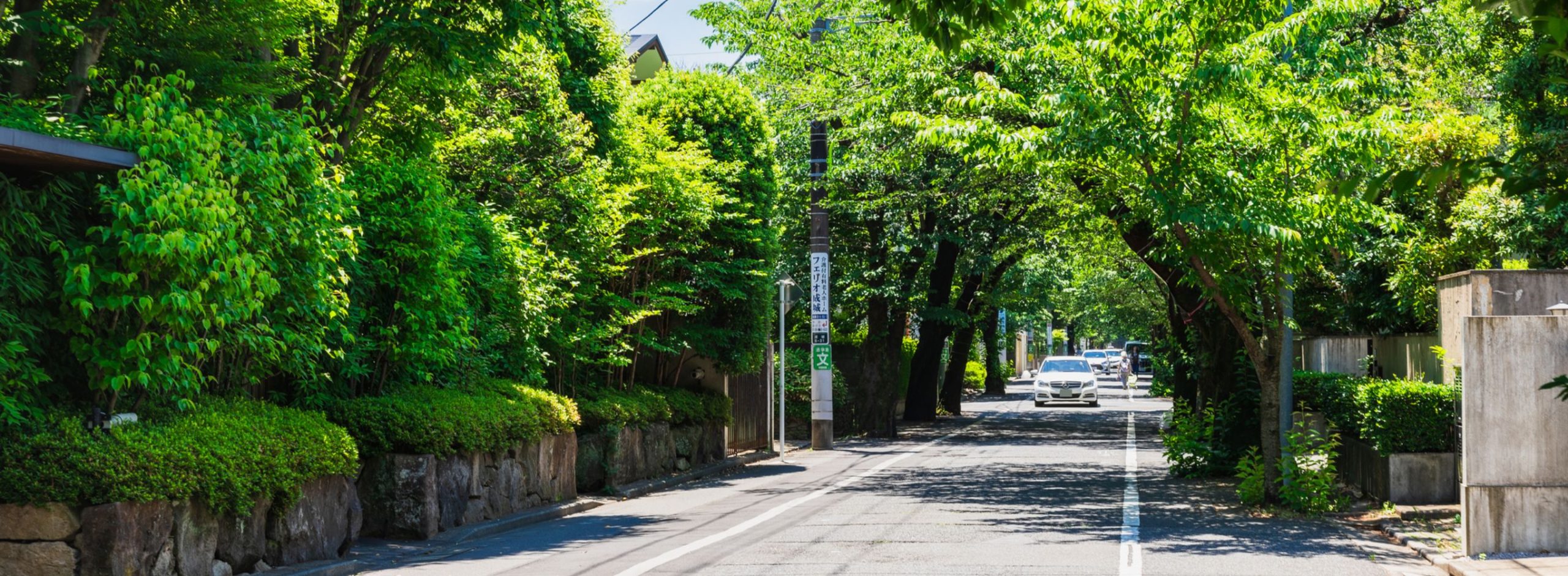 泉麻人が散策する「成城」――学園とシネマの郊外タウン