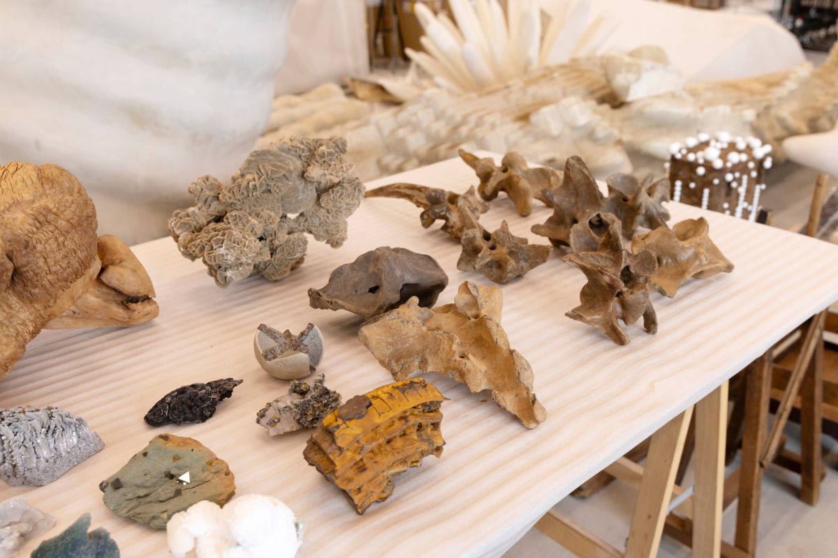 遠山正道×鈴木芳雄 連載「今日もアートの話をしよう」vol.44 名和晃平